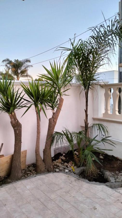 Casa Antonio E Nicoletta Villa Porto Cesareo Dış mekan fotoğraf