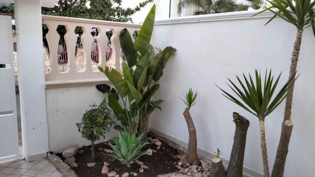 Casa Antonio E Nicoletta Villa Porto Cesareo Dış mekan fotoğraf