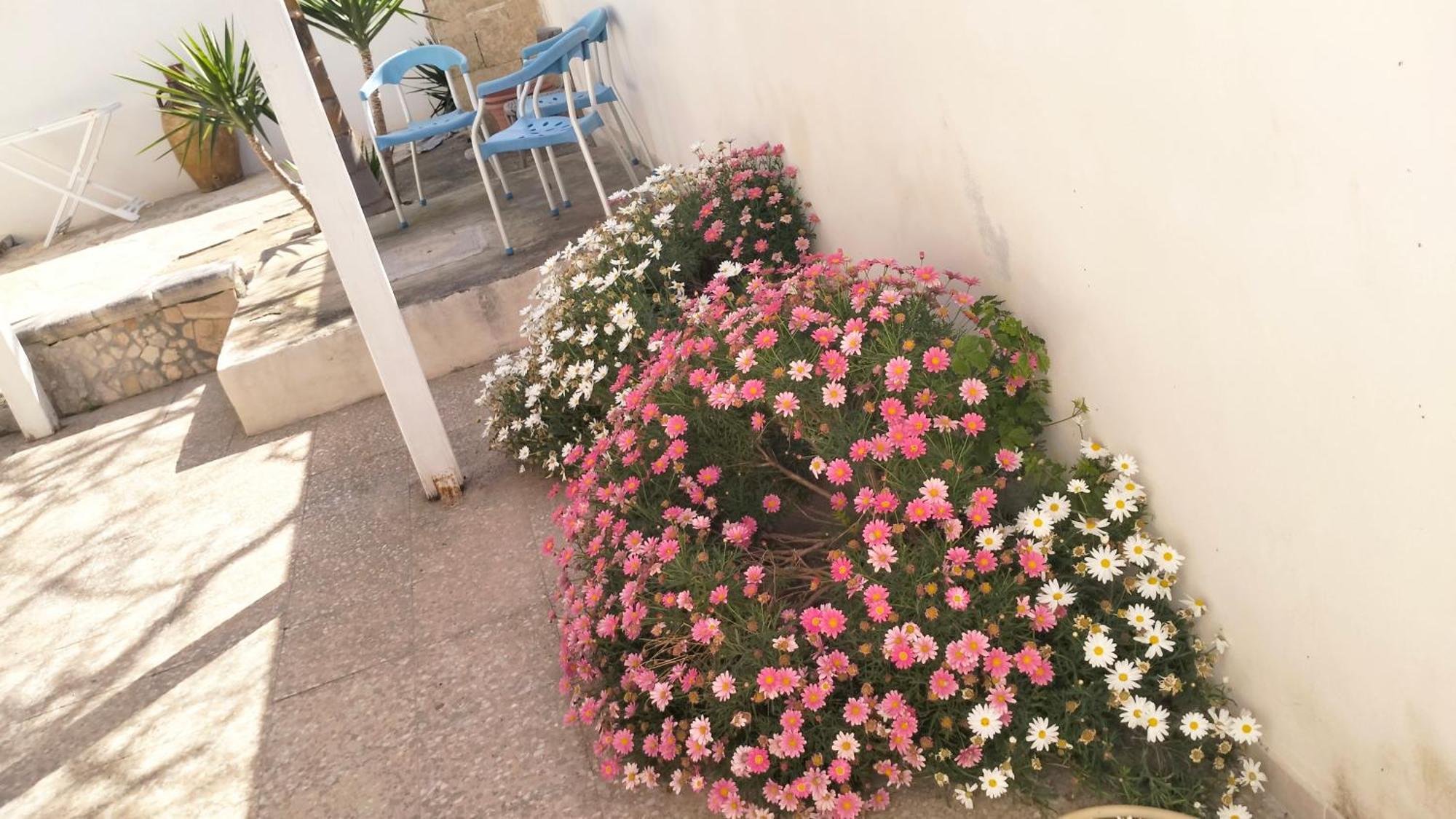 Casa Antonio E Nicoletta Villa Porto Cesareo Dış mekan fotoğraf